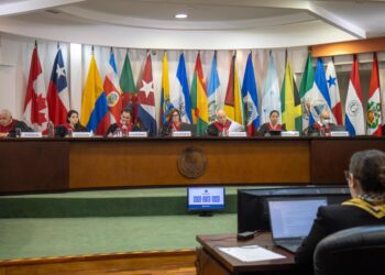 Norma Andrade alza la voz en la CoIDH: Justicia pendiente para Lilia Alejandra