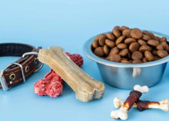 Roban 700 mil en comida para mascotas en Puebla