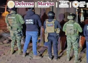 La Defensa eliminó 327 cultivos de amapola y marihuana en cinco estados