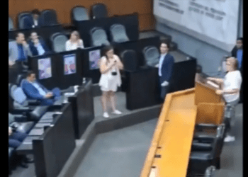 Murciélago irrumpe en sesión del Congreso de Nuevo León