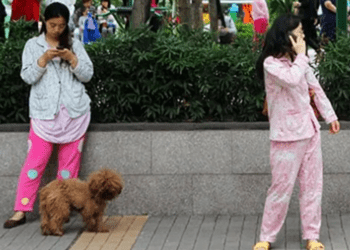 Pijamatón 2025: gente en pijama en las calles de CDMX