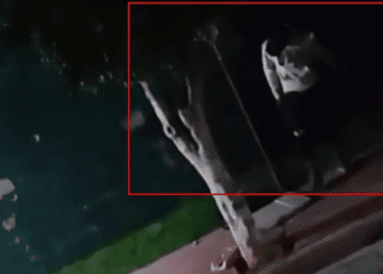 Exhiben a maltratador de perros en Chimalhuacán