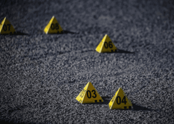 PAN propone castigar con pena máxima a narcopolíticos