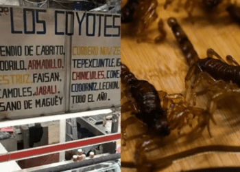 El mercado de San Juan: la capital de la comida exótica en la CDMX