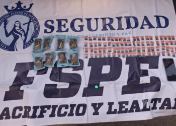 Aseguran más de 2 mil dosis de presuntas drogas en una semana con estrategia CONFIA