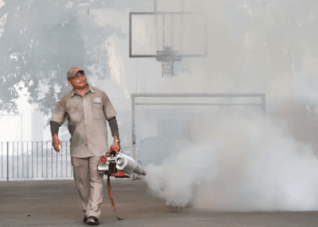 Suman 2 mil 295 casos de dengue en México en lo que va del año