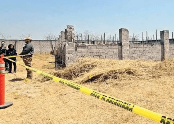 Colectivo de búsqueda en Jalisco emite carta a Sheinbaum: “Nuestro dolor no tiene partido”