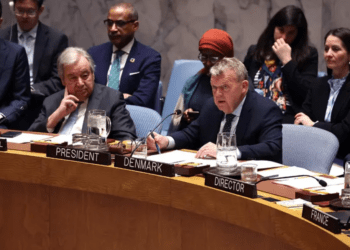 Dinamarca pide a EU bajar el ‘tono’ sobre supuesta inacción en Groenlandia