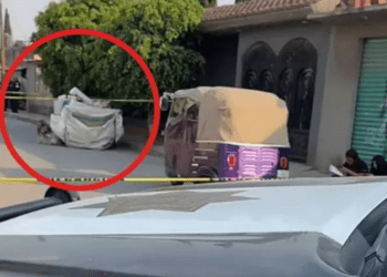 Detienen a mujer por tirar feto de 6 meses de gestación a la basura