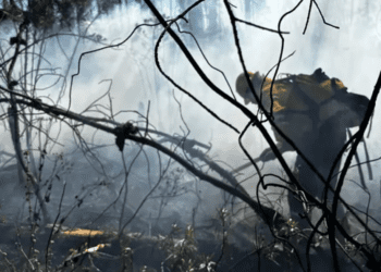 Muere brigadista por combatir incendios forestales en Chihuahua