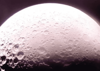 Tras exitoso alunizaje, captan amanecer lunar