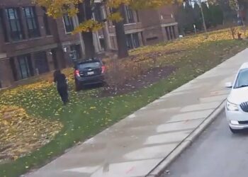 Conductora de autobús salva a una mujer en un accidente y recibe homenaje