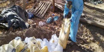 Duro golpe al narcotráfico: Ejército desmantela 7 laboratorios de droga en Sinaloa