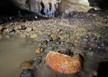 Descubren tesoro en cueva de Guerrero