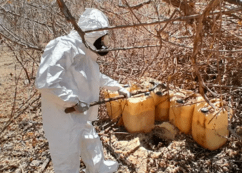 Ejército desmantela 15 centros de producción de metanfetamina en Sinaloa