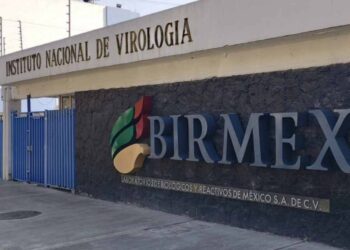 Birmex: Emma Luz se atrinchera, Juan Pablo cobra