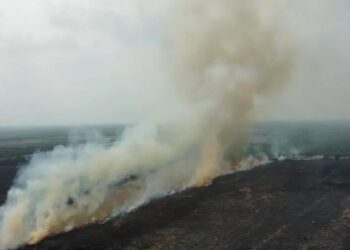 Incendio provoca múltiples choques Tamaulipas
