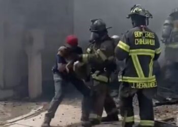Bomberos rescatan a perro atrapado en incendio