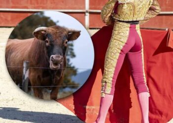 Michoacán prohíbe corridas de toros y peleas de animales