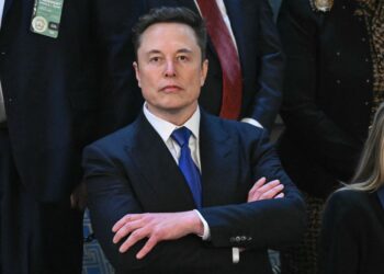 Elon Musk critica al asesor comercial de Trump