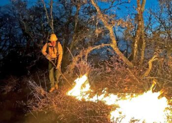 Incendio sigue en Tepoztlán por fuertes vientos