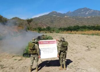 Desmantelan dos laboratorios de drogas sintéticas en Durango