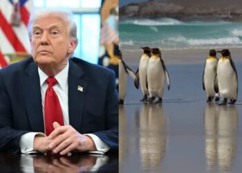 Trump pone aranceles a islas de focas y pingüinos