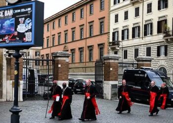 ¿Quiénes son los cardenales y qué papel juegan en la elección de un nuevo Papa?