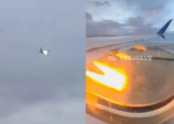 Conejo succionado por turbina de avión causa bola de fuego en vuelo