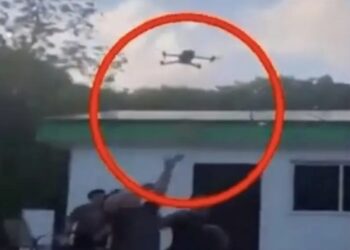 Elevan a perrito con dron en Quintana Roo