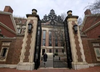 Harvard y Yale rechazan a estudiante con coeficiente 145 y SAT 1580