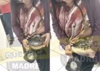 Detienen a mujer robando licuadora en Coppel de CDMX