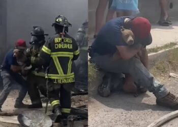 Hombre llora al hallar a su perrita viva tras incendio en Chihuahua