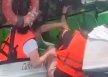 Mono causa pánico entre turistas en lancha de Catemaco