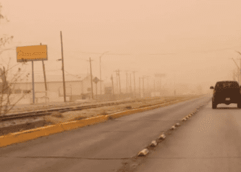 Tolvaneras enormes cubren Chihuahua
