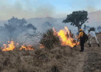 Incendio en Tlaxcala deja más de 200 hectáreas afectadas, es el más devastador en los últimos 20 años