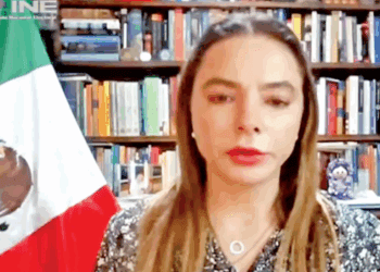 Más de 136 mil personas piden observar los comicios de 1 de junio