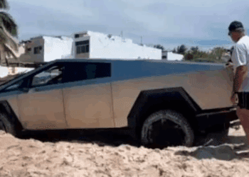 Tesla Cybertruck atorado en playa protegida para tortugas provoca indignación en redes