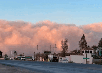 Una tormenta de arena cubre Chihuahua; recomiendan extremar precauciones