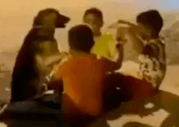 Niños enternecen las redes al incluir a perro callejero en su juego