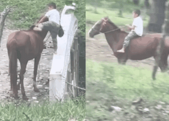 Niño conquista las redes por su habilidad para montar a caballo