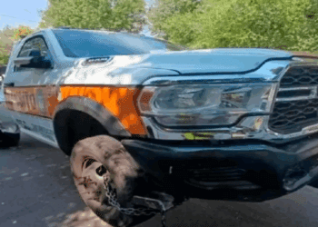 Roba grúa en CDMX y choca tras persecución