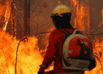 México combate 111 incendios forestales; Guerrero, el estado más afectado