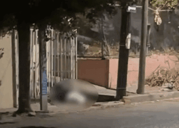 Suman tres abogados del mismo despacho asesinados en Culiacán