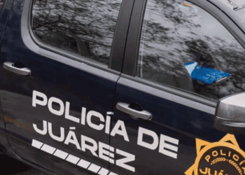 Violencia en Nuevo León cobra la vida de 70 menores en poco más de un año