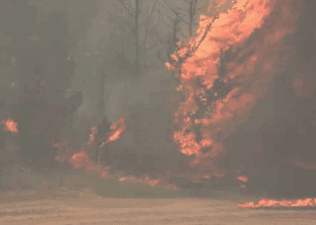 Emergencia nacional en Israel: incendios forestales se acercan peligrosamente a Jerusalén