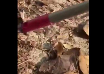 Tiran agujas en vía pública de Oaxaca