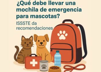 ¿Tienes mascotas? Lo que debe llevar su mochila, según el ISSSTE