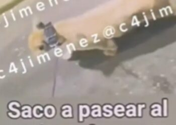 Reacciona dueño de leona tras críticas en Iztapalapa