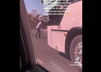 Chofer de Culiacán detiene su ruta para salvar a una iguana y conmueve en redes